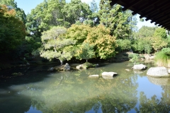 20190403-Bay-of-Plenty-Hamilton-Rotorua-007