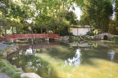 20190403-Bay-of-Plenty-Hamilton-Rotorua-013