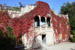 20190403-Bay-of-Plenty-Hamilton-Rotorua-026