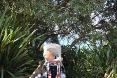 20190404-Bay-of-Plenty-Hamilton-Rotorua-100