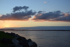 20190404-Bay-of-Plenty-Hamilton-Rotorua-134