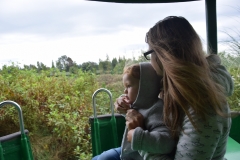 20190405-Bay-of-Plenty-Hamilton-Rotorua-155