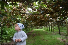 20190405-Bay-of-Plenty-Hamilton-Rotorua-165