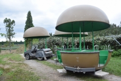 20190405-Bay-of-Plenty-Hamilton-Rotorua-168