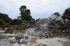 20190405-Bay-of-Plenty-Hamilton-Rotorua-201