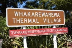 20190406-Bay-of-Plenty-Hamilton-Rotorua-211