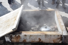 20190406-Bay-of-Plenty-Hamilton-Rotorua-212