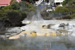 20190406-Bay-of-Plenty-Hamilton-Rotorua-217