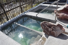 20190406-Bay-of-Plenty-Hamilton-Rotorua-218