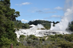 20190406-Bay-of-Plenty-Hamilton-Rotorua-221