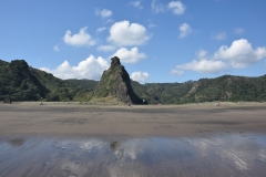 20190323-Karekare-Piha-16
