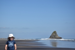 20190323-Karekare-Piha-22