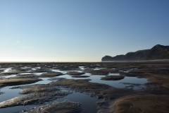 20190323-Karekare-Piha-49