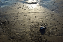 20190323-Karekare-Piha-59