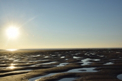 20190323-Karekare-Piha-60
