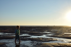 20190323-Karekare-Piha-61