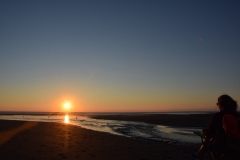 20190323-Karekare-Piha-68