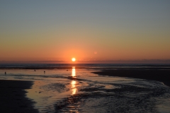 20190323-Karekare-Piha-73