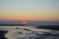 20190323-Karekare-Piha-77