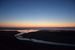 20190323-Karekare-Piha-82
