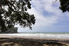 20190203-Long-Bay-Regional-Park-05