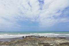 20190203-Long-Bay-Regional-Park-07