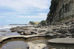 20190203-Long-Bay-Regional-Park-09