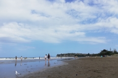 20190203-Long-Bay-Regional-Park-13