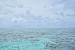 20190214-Moorea-Tahiti-Französisch-Polynesion-52