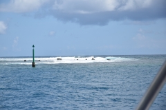 20190214-Moorea-Tahiti-Französisch-Polynesion-56