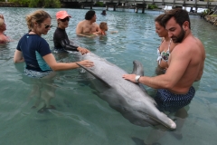 20190216-Moorea-Tahiti-Französisch-Polynesion-148