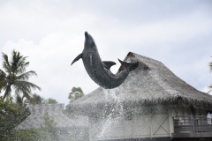 20190216-Moorea-Tahiti-Französisch-Polynesion-153