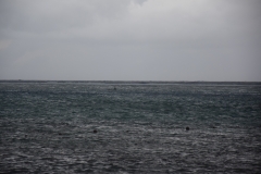 20190216-Moorea-Tahiti-Französisch-Polynesion-190