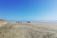 20190105-Northland-Ninety-Mile-Beach-Waipapakauri-184