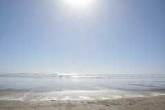 20190105 Northland - Ninety Mile Beach (Waipapakauri) 189