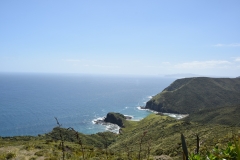20190105 Northland - Cape Reinga 131