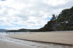 20190104 Northland - Coopers Beach 084
