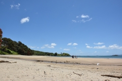20190104 Northland - Coopers Beach 088