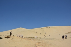 20190105 Northland - Te Paki Giant Sand Dunes 171