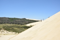 20190105 Northland - Te Paki Giant Sand Dunes 172