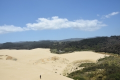 20190105 Northland - Te Paki Giant Sand Dunes 179