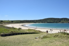 20190104 Northland - Karikari Peninsula - Matai Bay 093