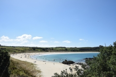 20190104 Northland - Karikari Peninsula - Matai Bay 104
