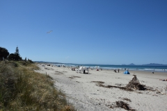 20190106 Northland - Waipu Beach 219