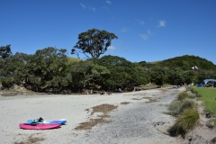 20190106 Northland - Waipu Beach 220