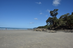 20190106 Northland - Waipu Beach 221