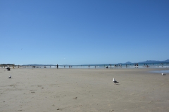 20190106 Northland - Waipu Beach 223