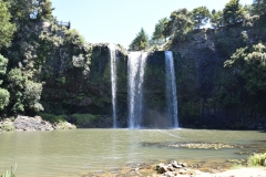 20190106 Northland - Whangarei Falls 213