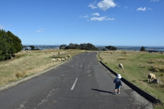 20190302-One-Tree-Hill-17