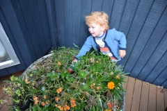 20190420-Ostereier-suchen-03